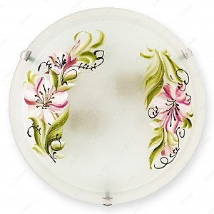 Настенно потолочный светильник Zulad TL9391Y-02WH
