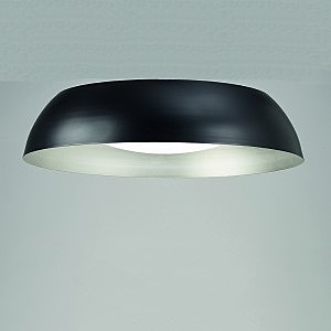 Светильник потолочный Argenta 4848E