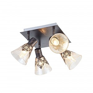 Светильник спот Donsia FR2345-CL-04R-BR