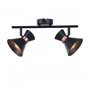 Светильник спот Izzy FR4273-CW-02-B