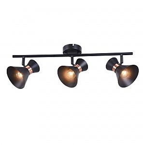 Светильник спот Izzy FR4273-CW-03-B
