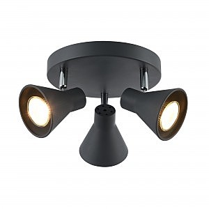 Светильник спот Claris FR4308-CL-03R-GR