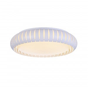 Светильник потолочный Assanta FR6159-CL-24W-W